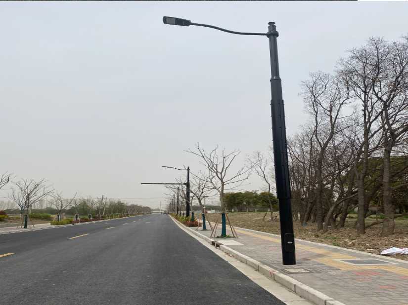 潮阳区上海综合杆 太阳能路灯工程